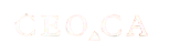 CEO.CA